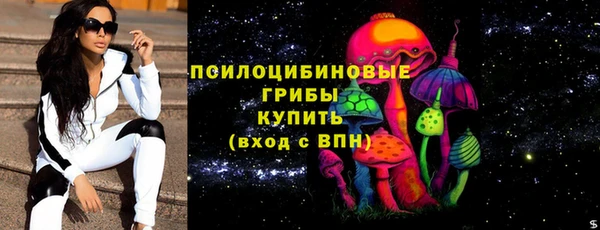 хмурый Алзамай