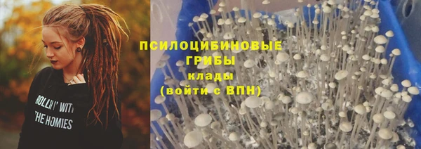 прущая мука Сатка